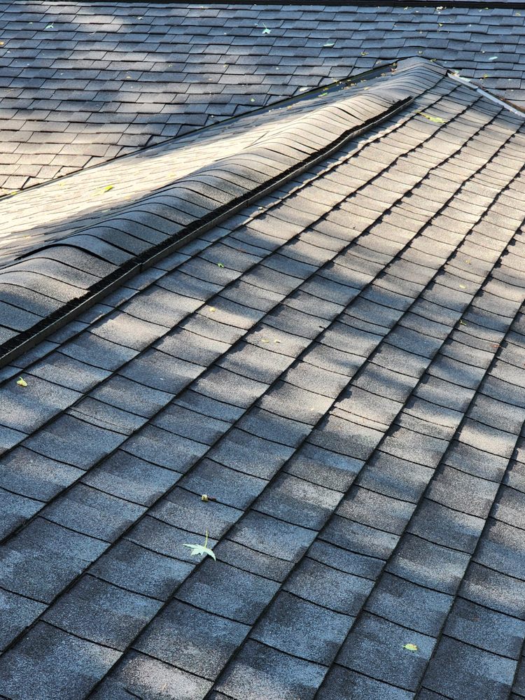 DaVinci Partners Roofing Systems