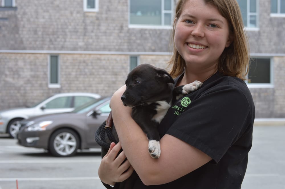 Potter League For Animals 10 Photos & 15 Reviews Animal Shelters