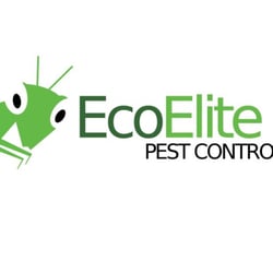 Pest Control In Seattle Yelp Eco Elite Pest Control