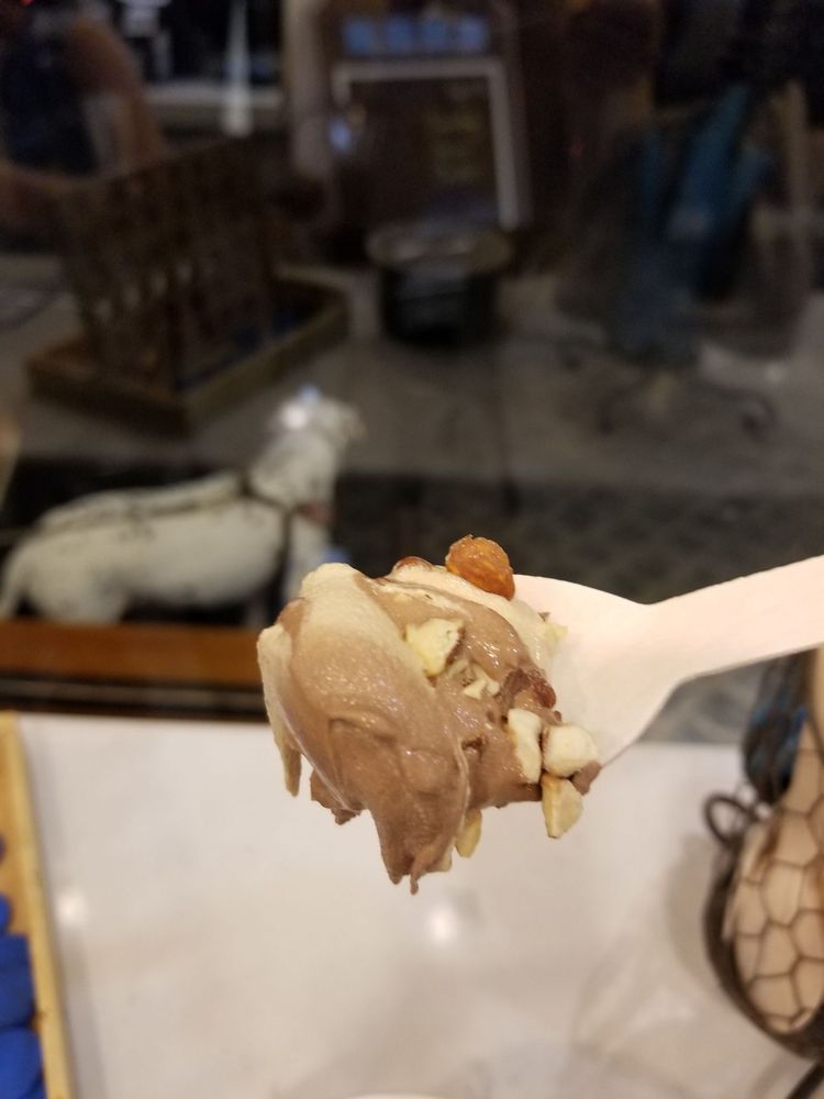 The yogurt shoppe The yogurt shoppe