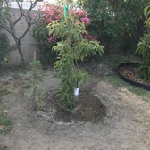 Atkins Nursery 19 Photos 13 Reviews Nurseries Gardening Photo Of Atkins Nursery Fallbrook Ca United States Gwen From
