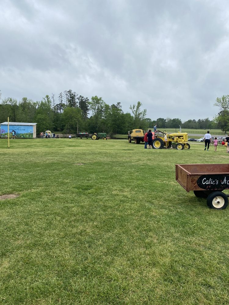 Calie's Acre - Pumpkin Patch, Weddings & Event Venue