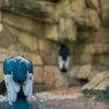 Fort Worth Zoo gift card