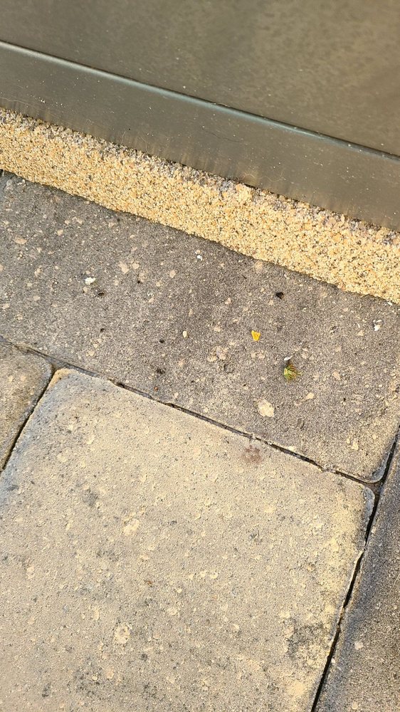 image of business Screen Pros and More