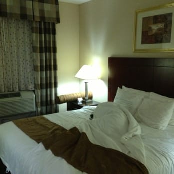 Best Western Plus Arena Hotel 41 Photos 25 Reviews Hotels Best Western Plus Arena Hotel 41 Photos 25 Reviews Hotels 1324 Atlantic Ave Crown Heights Brooklyn Ny Phone Number Yelp