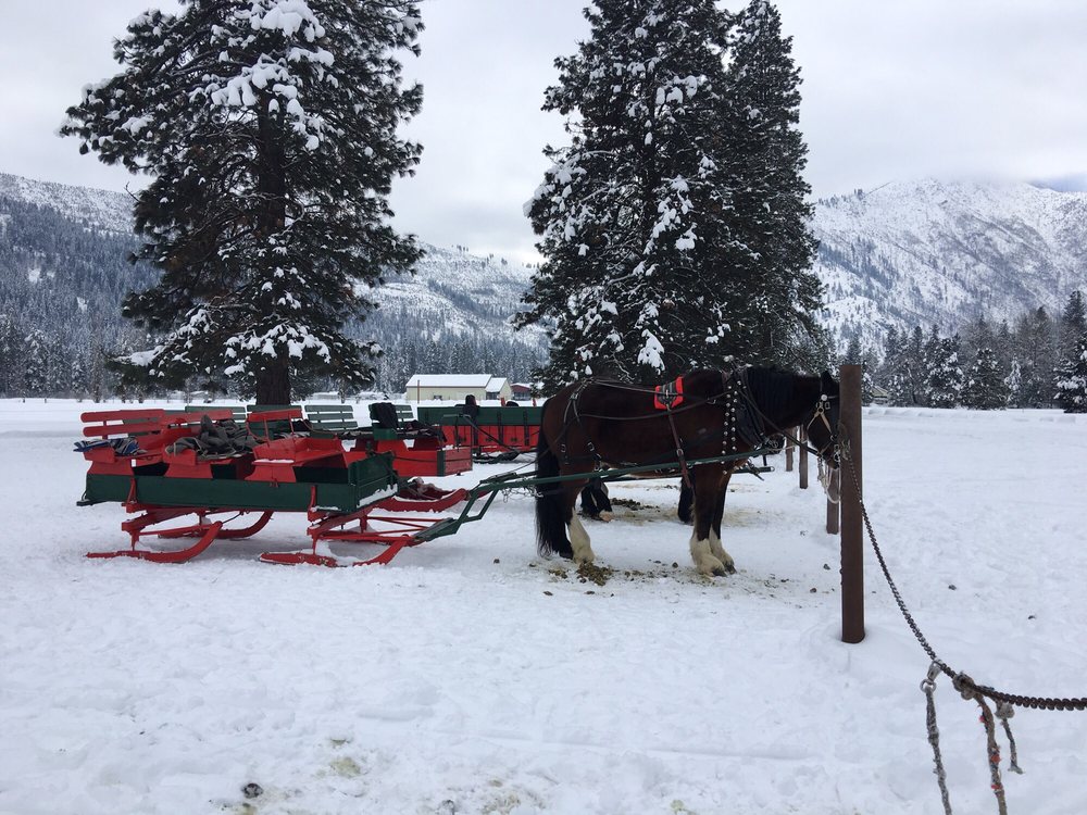 Icicle Outfitters & Guides/Leavenworth Sleigh Rides 32 Photos Tours