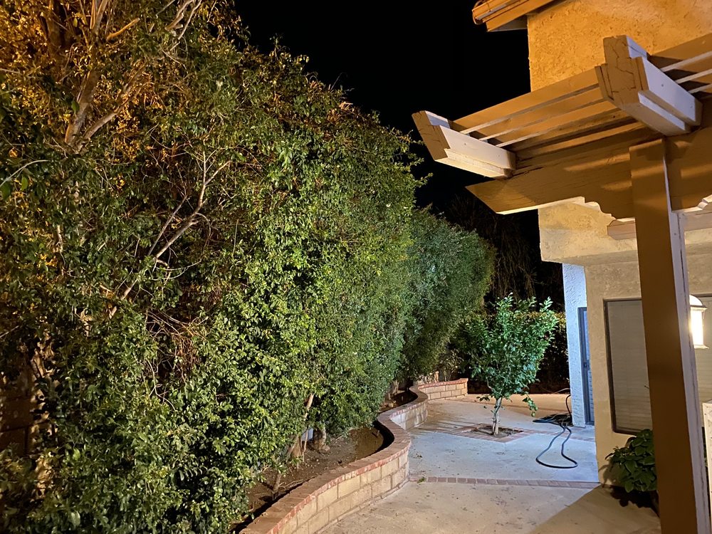 JF Gonzalez Landscape Maintenance