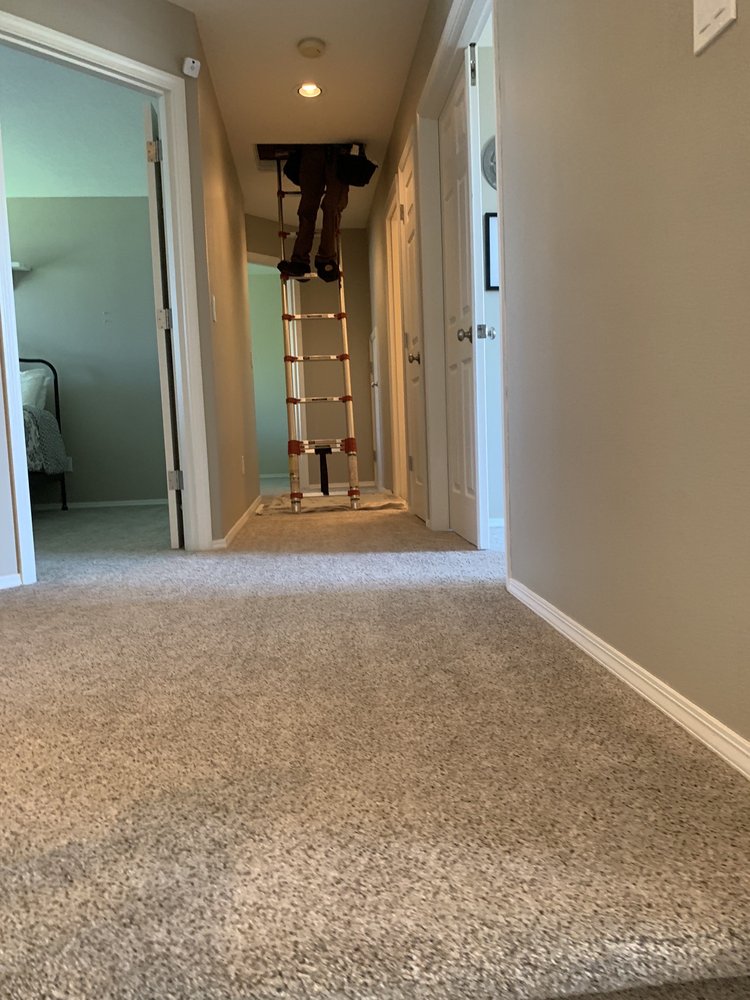 Blue Ladder Home Inspections