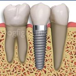 david johnson dds
