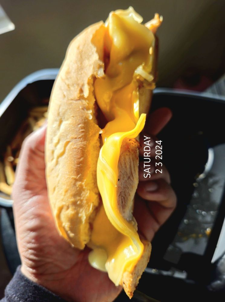 Pardon My Cheesesteak