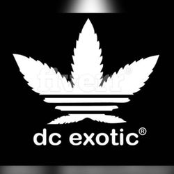 Washington Marijuana Dispensaries ls - Washington Marijuana Dispensaries