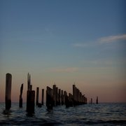 Father Capodanna Blvd Staten Island Ny Father Capodanna Blvd Staten Island Ny