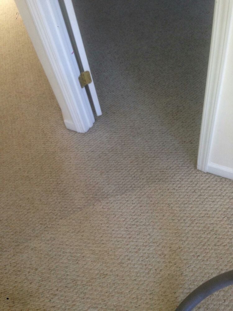 Carpet Cleaning Charlotte 10 Photos Carpet Cleaning