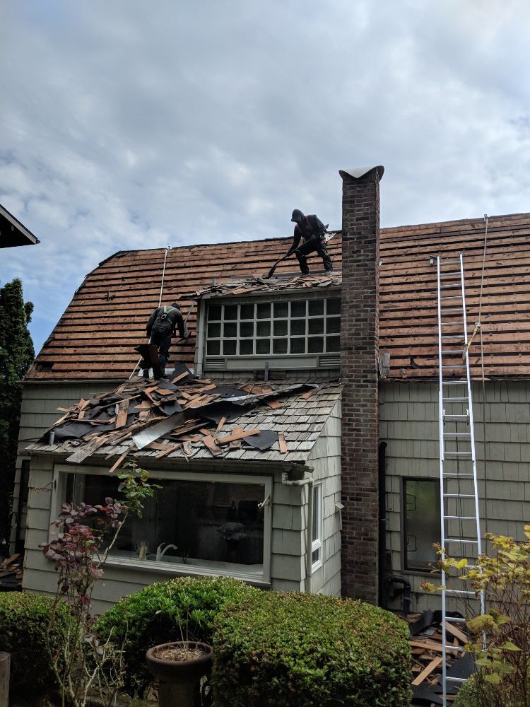 Pro Cover Roofing