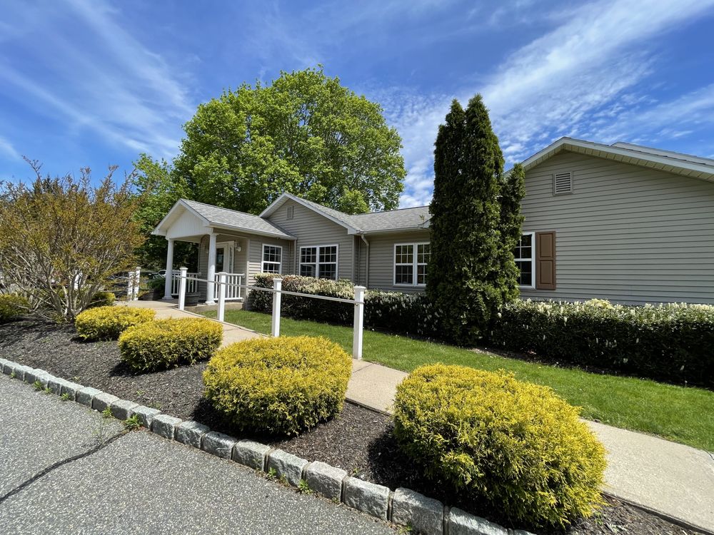 image of business The Smilist Dental Jamesport
