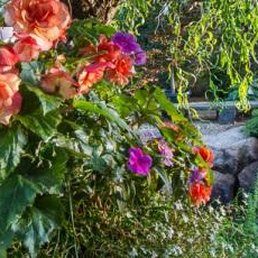 Garden Design Nursery photos for madeline george garden design, nursery & garden center Garden Design Nursery photos for madeline george garden design, nursery & garden center