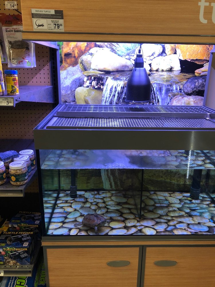 Petco