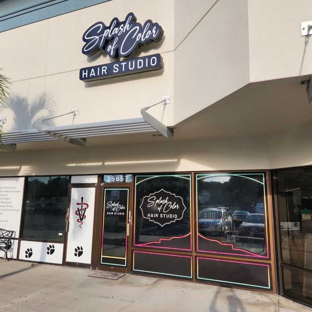 Splash of Color Hair Studio