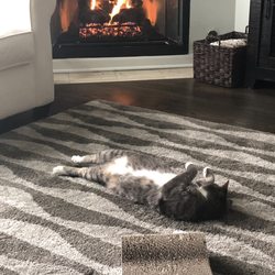 Firefixer 42 Reviews Fireplace Services Norwood Park