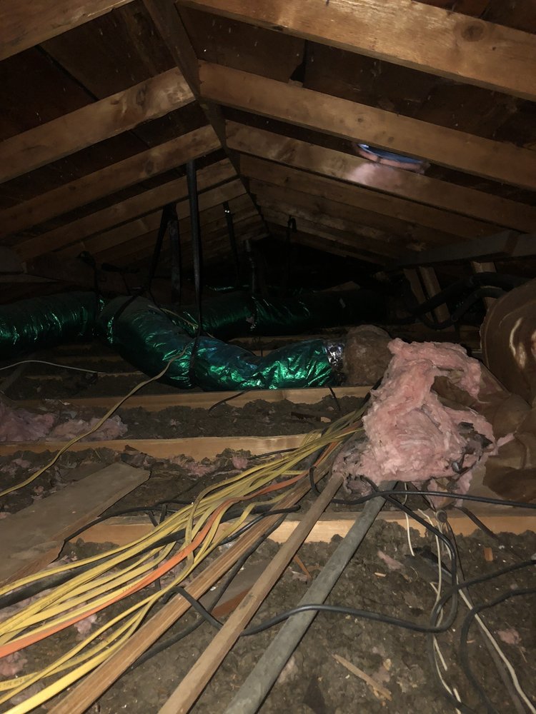 Attic Zone Insulation