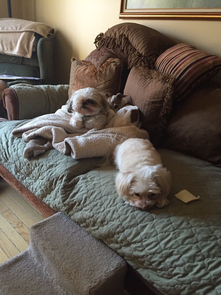 Hamburg Veterinary Clinic Veterinarians 59 Vernon Ave, Hamburg, NJ