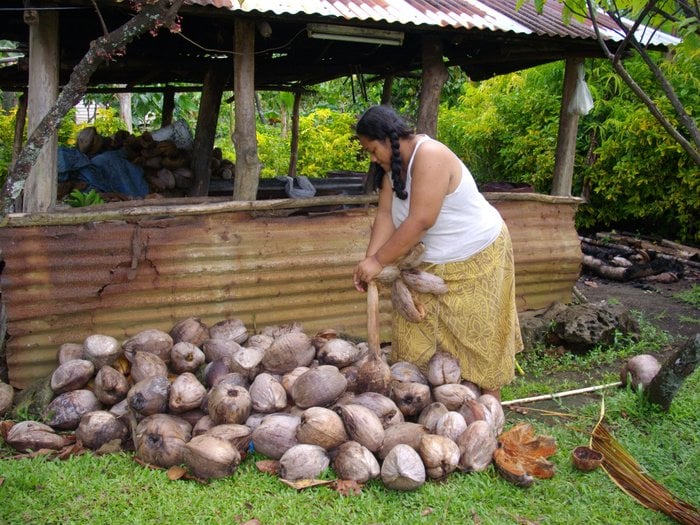 The Coconut Culture 2019 All You Need to Know BEFORE You Go (with