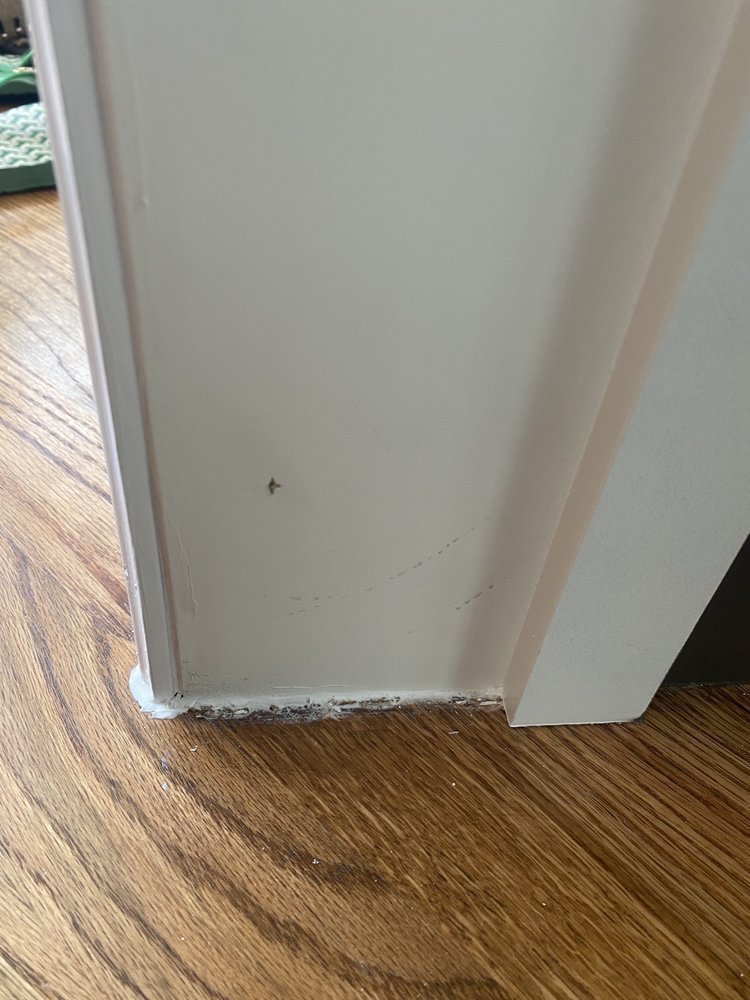 Dallas Door Designs