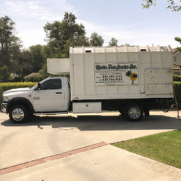 Master Tree Service