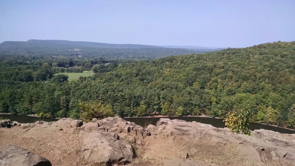 Giuffrida Park 42 Photos & 22 Reviews Hiking 800 Westfield Rd