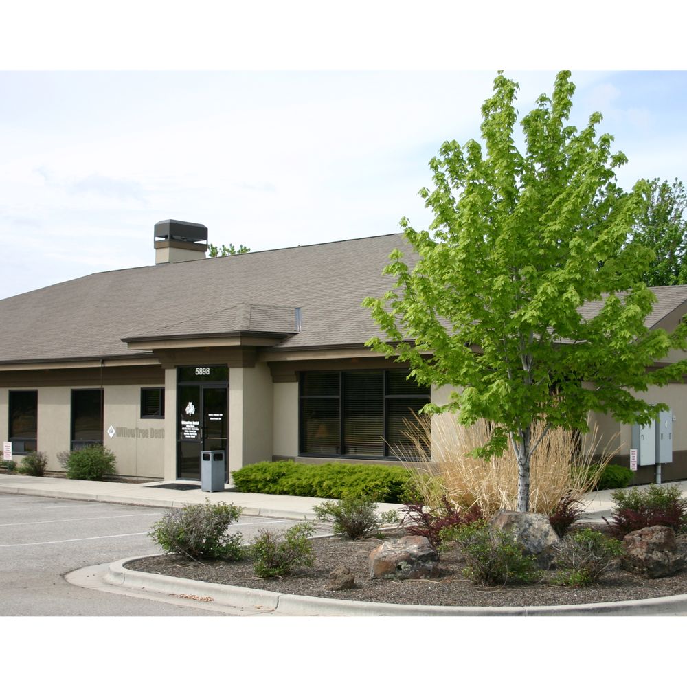 image of business Willow Tree Dental