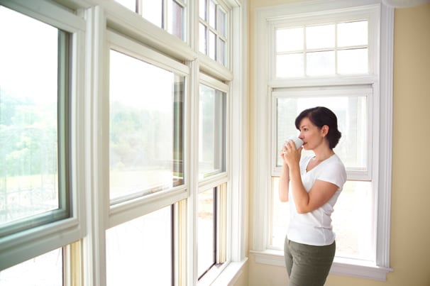 image of business Royal Home Improvement