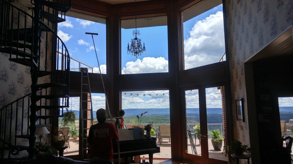 Fish Window Cleaning