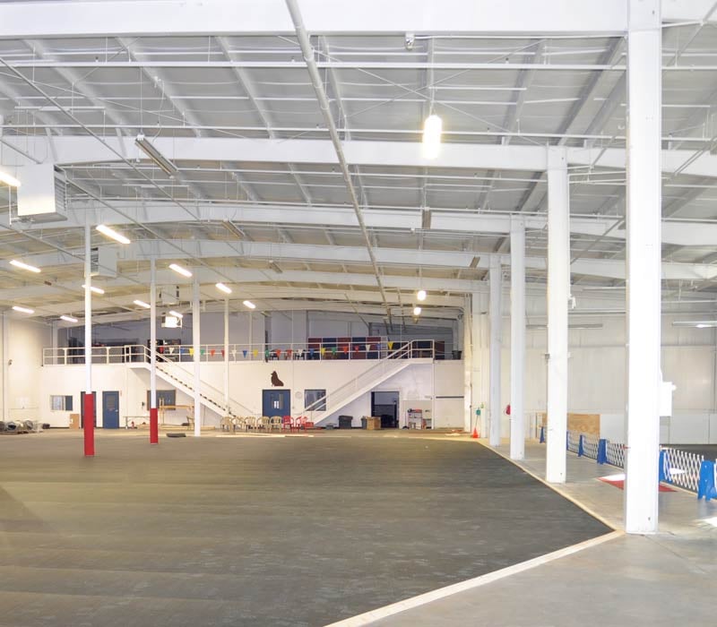 Dog Boarding Kennels Grand Rapids Dog Boarding Kennels Grand Rapids