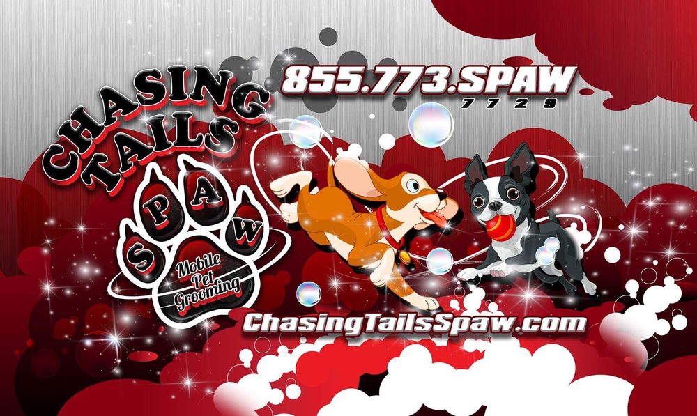 Chasing Tails Spaw