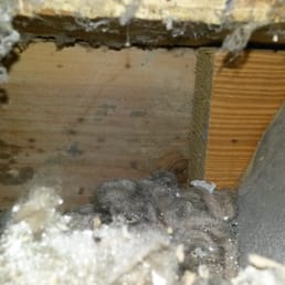 Sears Carpet And Air Duct Cleaning Closed 13 Photos Photo Of Sears Carpet And Air Duct Cleaning Louisville Ky United States