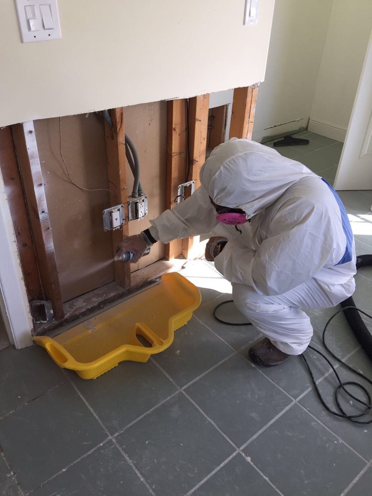 Dry Out Restorations