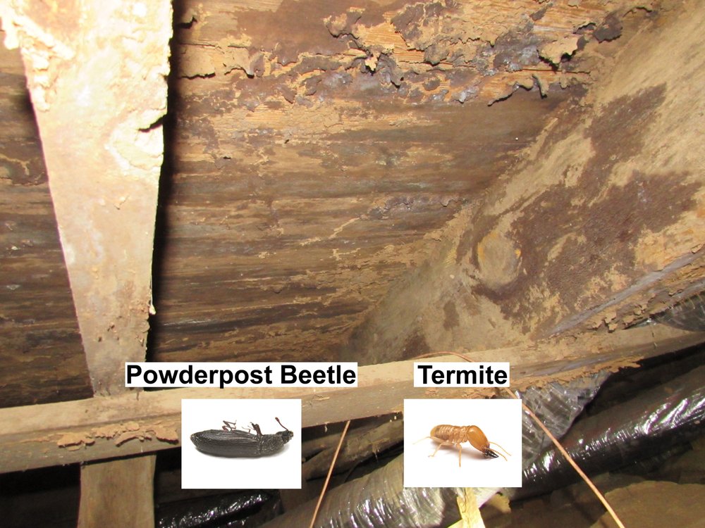 Every Detail Matters Home Inspections