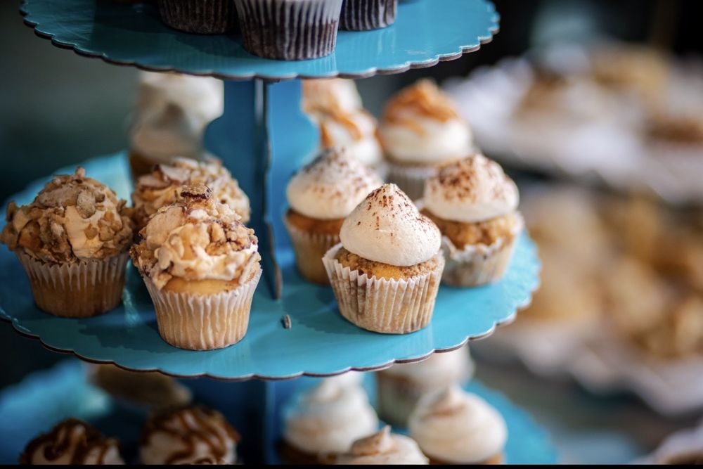 Frost Cupcake Factory