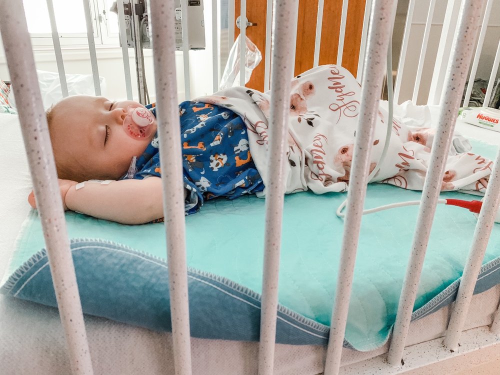 image of business Pediatric Health Care Alliance