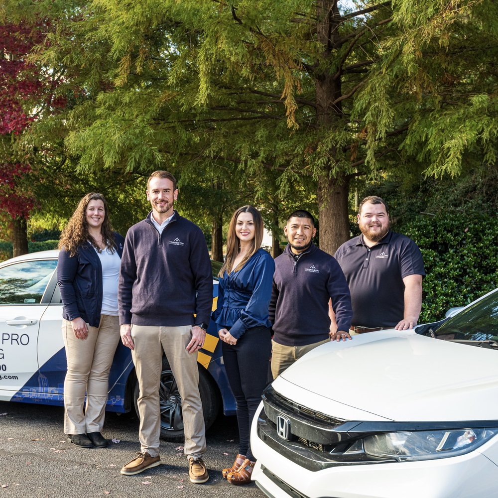 Triangle Pro Painting