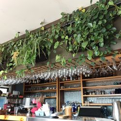 Artemisia Cafe 96 Photos 105 Reviews Breakfast Brunch 61 Photo Of Artemisia Cafe Portland Me United States Love The Green