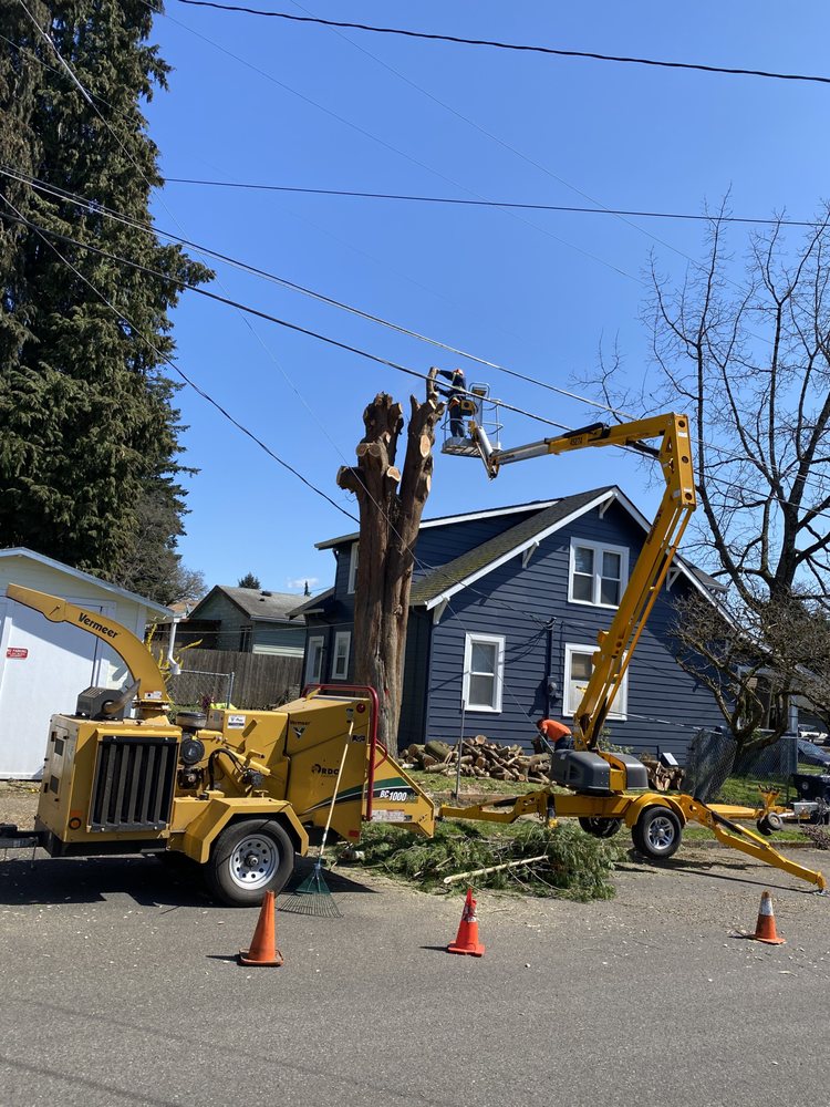 One Hope Tree Service & Construction