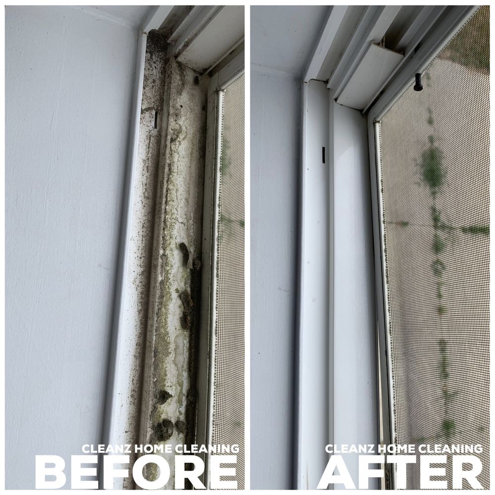 Express Cleaning