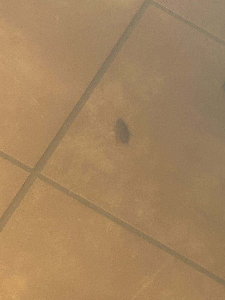 Bojangles' Famous Chicken 'n Biscuits