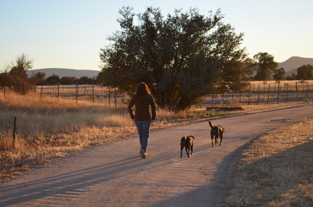 Thankful For Country Roads Yelp