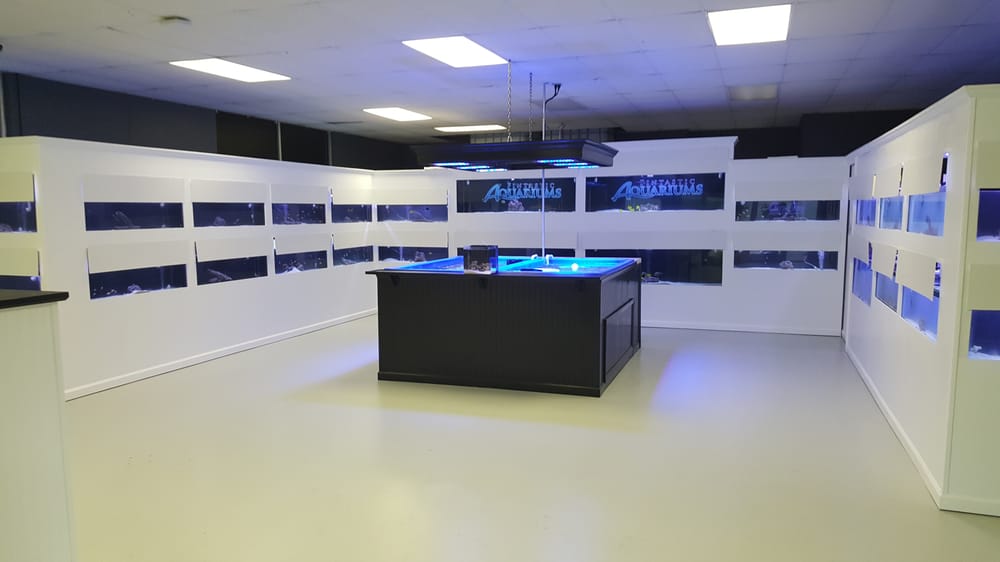 Fintastic Aquariums of Wake County Local Fish Stores Cary, NC 303