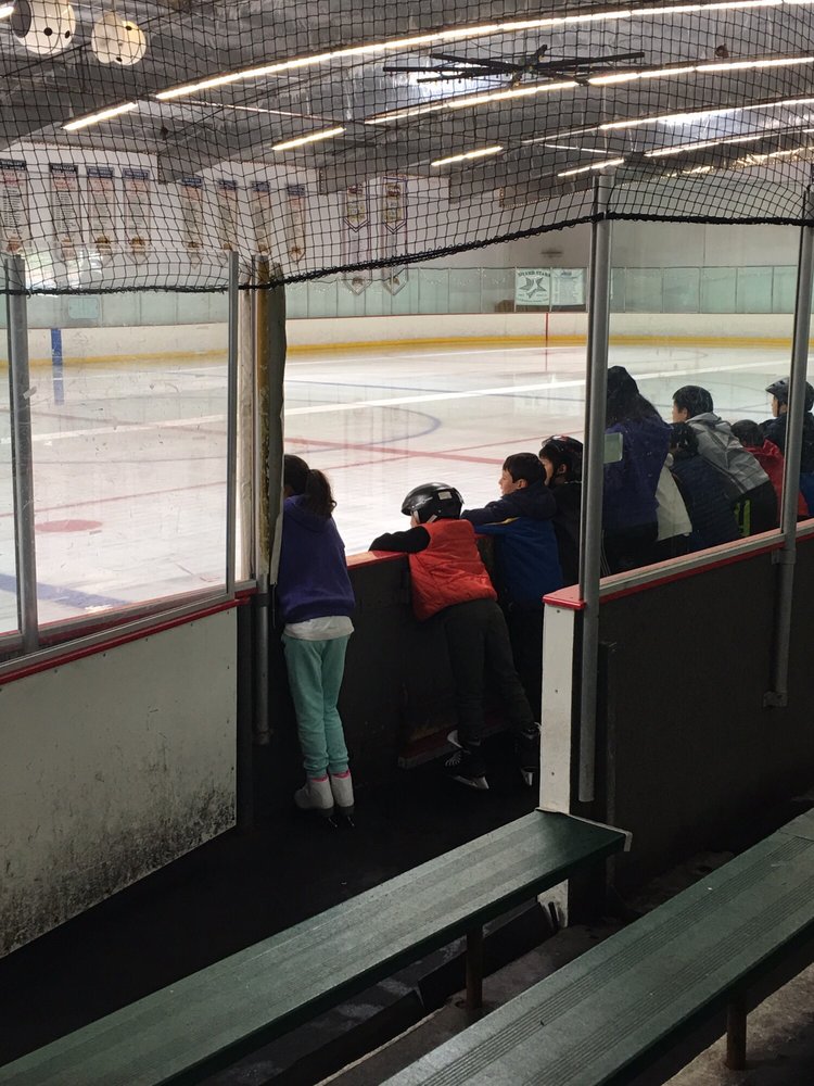 Dublin Iceland Ice Skating 33 Photos & 56 Reviews Skating Rinks