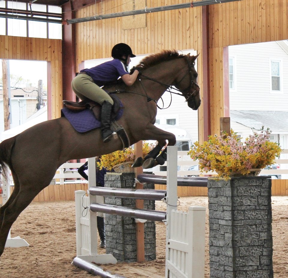 New York Equestrian Center Ltd 51 Photos & 14 Reviews Horseback Riding 633 Eagle Ave, West