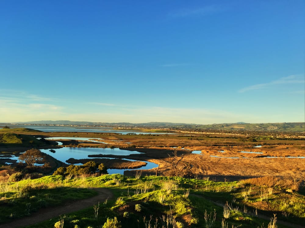 © 2021 east bay regional park district. Photos for Coyote Hills Regional Park Yelp