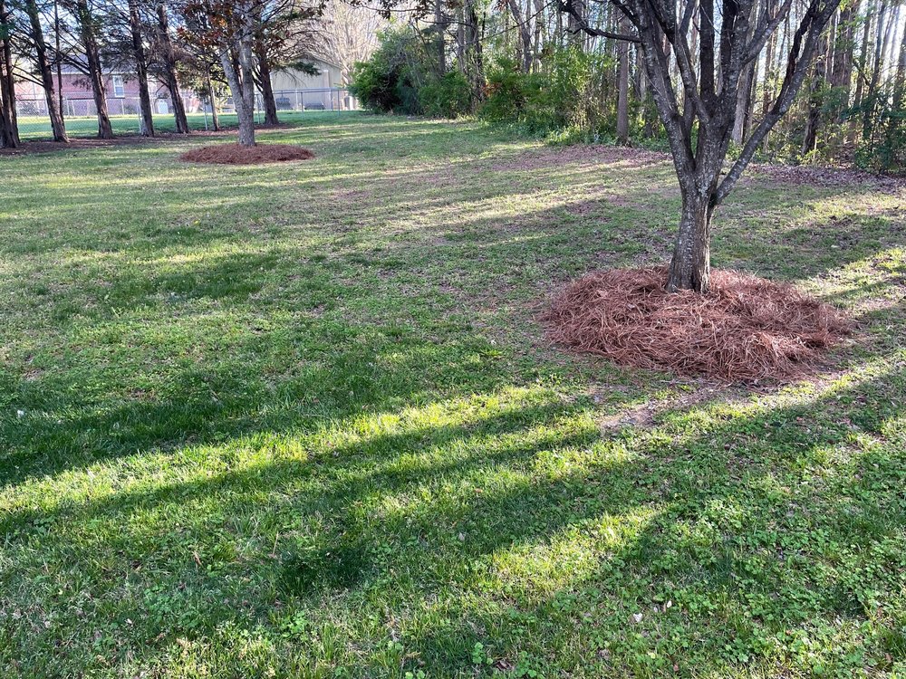 Salisbury Landscaping Services